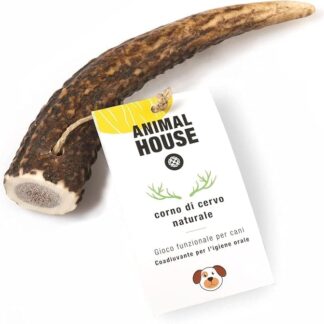 ANIMAL HOUSE - Corna di Cervo per Cani Intere - Masticativo Naturale al 100% - Rafforza Igiene Orale - Resistenti e Duraturi - Disponibili in Tutte Le Taglie (S)