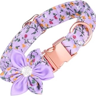 ifundom Collare Regolabile per Design Collare e Traspirante per Speciali