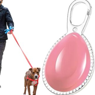 Luci per cani per camminare notturno, luce per cani | Luce al colletto a LED per cane ricaricabile | Accessori per animali domestici a ciondolo brillante anti-lost per la corsa notturna, il ciclismo,