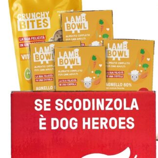 Gourmet Box per Cani - 4 Pack di Cibo Umido all'Agnello + Premietti ai Semi di Zucca e Mirtillo - 100% Naturale - Senza Cereali - Made in Italy