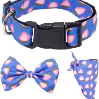 Milisten 1Set Collare per con e Accessori Eleganti per Animali Domestici Blu per Moda