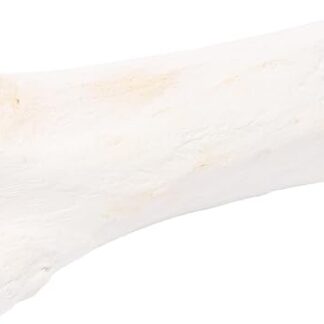 Bastoncini per cani – Osso di calcio di bufalo ripieno di polmone – 15cm – 324g – naturale – ricco di calcio – lunga masticazione