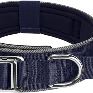 Collare per animali domestici riflettente leggero regolabile per passeggiate notturne del cane largo con fibbia in metallo riflettente impermeabile