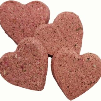 DENTO Nova – Lo snack dentale per cani