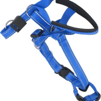 Collar per Cani per Cani in Testa con Muso Regolabili a Fascia Imbottita di Piccola Taglia Medio (L)