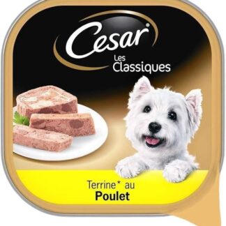 Cesar Vaschette Pollo in Terrina per Cane 300 g