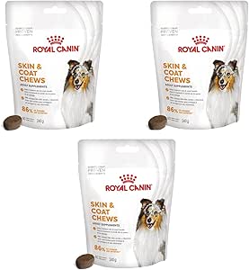 Royal Canin Skin Coat Chews | Confezione Tripla | 3 x 240 g | Snack per cani adulti di tutte le taglie e razze | Confezione richiudibile | Sviluppato con veterinari | Con proteine di pollame