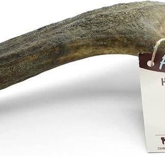 PetLove Corno di Cervo per Cani, metà Corno (XXL 161-200g) • Osso da Masticare per Cani • Bastone Snack per Cani • Giocattolo per Cani da Masticare Lunga Durata