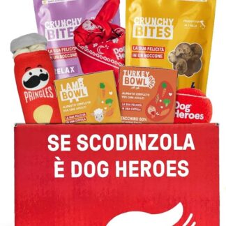 Party Box per Cani - 4 Pack di Cibo Umido (Agnello, Pollo, Tacchino, Manzo) + Premietti Naturali ai Semi di Zucca e Mirtillo, Pallina, Bandana, Peluche - 100% Naturale - Senza Cereali - Made in Italy