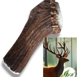 OGF® Hirschantler XXL intero 151-220 g snack da masticare per cani con sostanze minerali, 100% naturale, cura dentale, asta da masticare, Hirsh