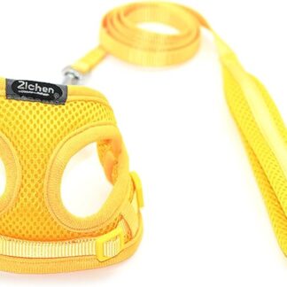 Cani Petto E Indietro Corda Di Trazione Traspirante Di Grandi Dimensioni Walking Gattino Cinghia Petto Cani Guinzaglio