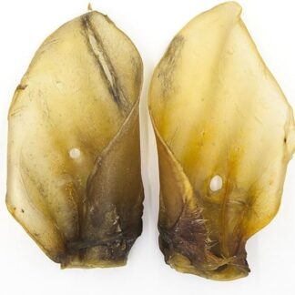 Fasson Food| Orecchio Bovino Essiccato per Cani – Confezione da 10 pezzi, Snack Naturale Povero di Grassi, 100% Carne Italiana