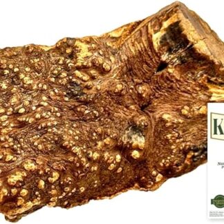 Radice da masticare per cani da albero hide legno da masticare medio per cani ossa di legno come giocattolo per cani