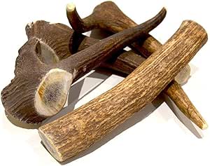 Natandbal Giocattoli morditori naturale per i cani di corna di cervo iberico (2 Unità. (XL))