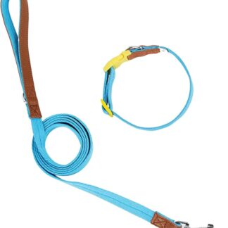 Rdxanc Collare per cani Guinzaglio Slip Walking Guinzaglio Collare Corda Lungo Pet Forte Allenamento Camminare Nuoto Esc