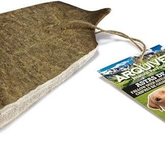 Arquivet Asta di Gamo XL, 151 – 200 gr – 175 gr