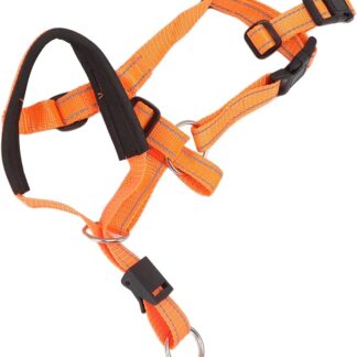 Qcwwy Testa per Cani Collaro per Cani Collar Anti Morme MorKing Controllo Traspirante Cabla per la Testa del Cane Traspirante per la Bocca del Cane Allevamento del Giardino (Taglia L)