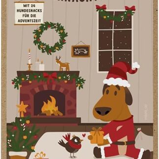 Sammy's Hundesnacks Confezione mix natalizio, 24 deliziosi snack per cani da provare, 24 x 50 g, mix di snack colorati, snack per cani