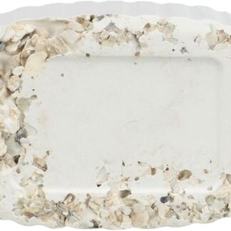 Trixie Piksteen con minerali e cozze di conchiglie