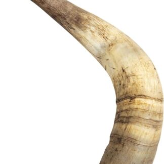 JACK AND VANILLA, Legno di Bovino Naturale, Durevole ed Ecologico, Ideale per Cucina e Artigianato, Finitura curata, Peso 261-350 g, Taglia L, Colore Naturale, Modello all Nature