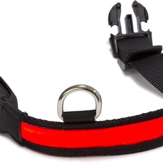 Arquivet - Collare luminoso per cane LED rosso - Taglia M 38-50cm/2,5cm