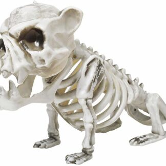 fun-world 13  Skele-Bull Dog Decor