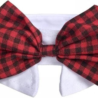 Collare con Papillon per Cani e Gatti,Papillon Regolabile per Animali Collari per Cane e Gatto di Taglia Piccola per Compleanno Festa Sposa