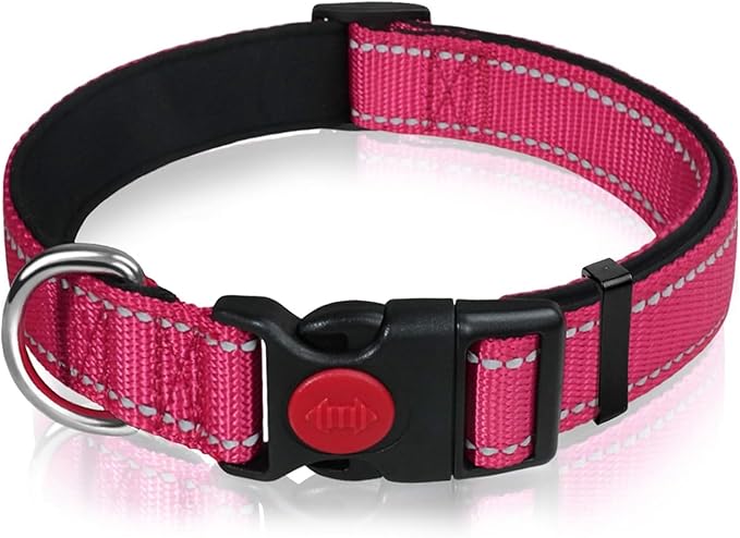 Collare per cani in nylon riflettente con fibbia di sicurezza, collare regolabile con morbida imbottitura in neoprene per cani di taglia media, rosa acceso