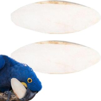 Biniveil Osso di seppia, osso di seppia, pietra abrasiva per becco di parrocchetto, 15-20 cm, per calopsitta, canarini, rettili, inseparabili, pappagalli