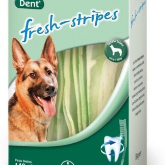 Bayer - Joki Dent T.Gr.