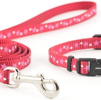 Ancol Stars Coll Piccolo morso & Piombo Set