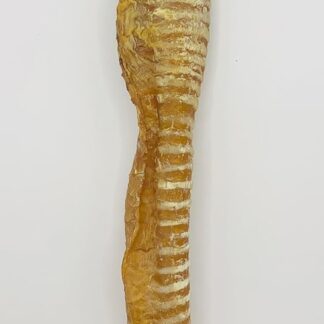 Premium Grade A – Trachea di manzo – Snack naturale per cani, masticare, House of Canine (50 trachee)