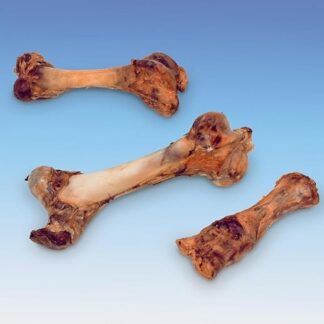 Nobby, osso di bestiame piccolo