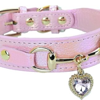 Newtensina Collare per cani carino alla moda con un ciondolo a forma di cuore in lega per cani di piccola taglia gatti - rosa - S