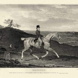 Immagine su tela arrotolata Hackney Scott John - Animali & Natura orizzontale Stampa artistica Animali Animali Cavalli Cane Cani Caccia Sport Tela fine art 22_X_30_in