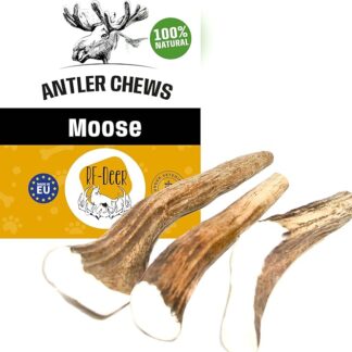 RF - Deer Corno di alce per cani, 100% naturale Osso di Alce per Cani Masticativi Naturali, Giochi e Snack Bocconcino per Cane Taglia XXL HARD Version 220-280 g 18-21 cm 1 pezzo
