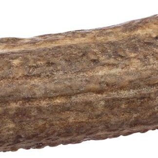 PRAIRIE DOG PET PRODUCTS Elk Antler Treat, Jumbo by
