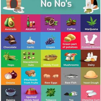 cibo per cani – Diagramma Dog Safe Food – Alimenti per cani con 30 alimenti – Manuale di sicurezza – Salute – Cane bardiere – Delizie animali domestici portatili – Accessori, Frigorifero