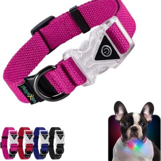 Collare Luminoso per Cani Collare Cane Regolabili in Morbido Cotone per Cani & Gatto Taglia Piccola Media Grande Collare di Cane LED 2 Modos de Flash Collari per Cane 25-40/2,0cm (S), Rosa