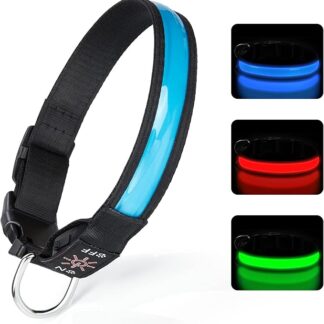 TENXSNUG Collare Luminoso per Cani Ricaricabile USB, Collare LED Regolabile con 3 Modalità di Illuminazione per Cani di Piccola Media Grande Taglia in Tutta Sicurezza di Notte - Blu - M