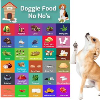 fanelod Sicurezza degli Alimenti per Cani, di Alimenti sicuri per Cani | Guida sicura per Alimenti per Cani Colorati con Magnete,Barrette salutari Portatili, dolcetti per Cani,