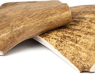 CORNA DI DAINO SMALL <75g - Masticativo 100% naturale