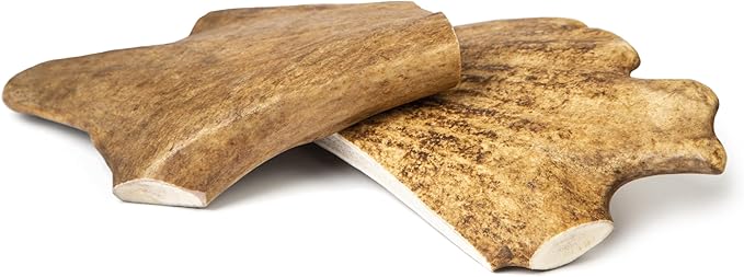 CORNA DI DAINO SMALL <75g - Masticativo 100% naturale