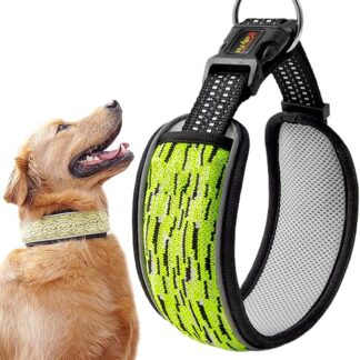 Regolabile | Protezione del collo Collare per cuccioli per animali domestici, robusto, cani di piccola taglia media e grande cane interno utilizza il collare regolabile per correre, L