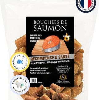 boccone di salmone - prelibatezza per cani - 300 g