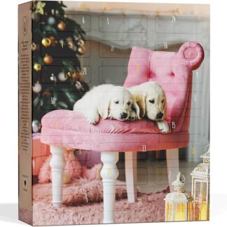 BOXILAND® Calendario dell'Avvento per Cani 2025 [CON 24 SNACK PER CANI] – Calendario di Natale Regalo per Cani – Idea Regalo (Prodotto in Germania)