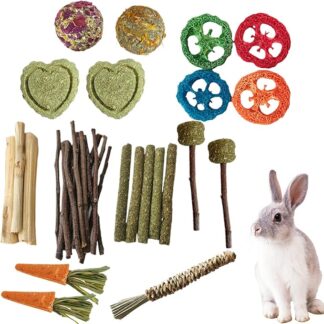 Giocattolo da masticare coniglietto, giocattoli da bunny per i denti - DETHING THETS CAPERCHIO MOLOLA DI CAPRIE CAPILE - Piccoli animali domestici Sicuro Care dei denti da masticare per i cincillini G