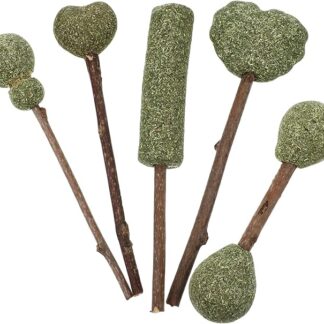 ibasenice 5 Naturali Snack Masticabili per Lecca Lecca Edibili per Attivi e Calmi Premietti Sicuri Additivi per