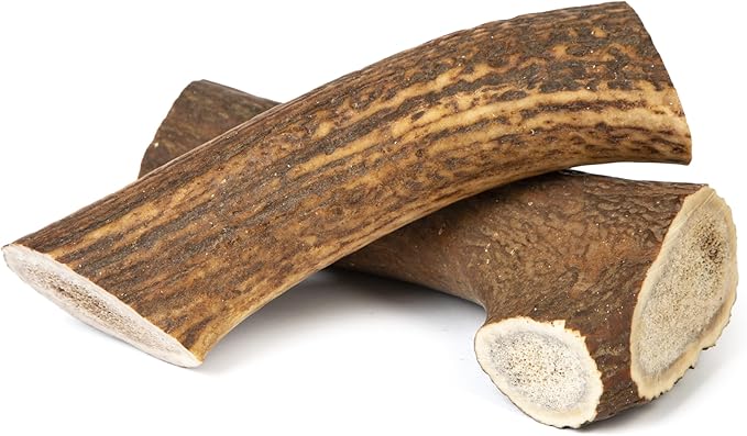CORNA DI CERVO INTERA MEDIUM 51-75g - Masticativo 100% naturale