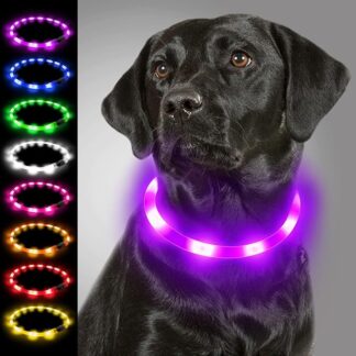 Joytale Collare Luminoso per Cani, Collare di Cane LED Ricaricabile USB, Collare di Sicurezza con 3 Modalità Luminose per Cani di Taglia Piccola Media Grande, Viola